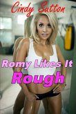Romy Likes It Rough (eBook, ePUB)