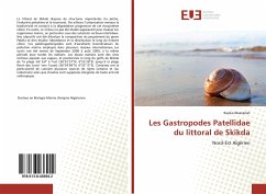 Les Gastropodes Patellidae du littoral de Skikda - Maatallah, Razika