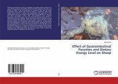 Effect of Gastrointestinal Parasites and Dietary Energy Level on Sheep