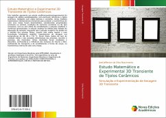 Estudo Matemático e Experimental 3D Transiente de Tijolos Cerâmicos - Silva Nascimento, José Jefferson da