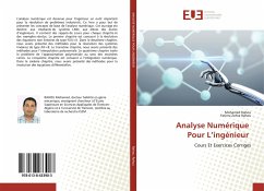 Analyse Numérique Pour L¿ingénieur - Rahou, Mohamed;Rahou, Fatima Zohra