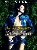 Auf der Berghütte (eBook, ePUB)