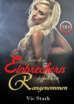 Von den Einbrechern überrascht und doppelt hart rangenommen (eBook, ePUB) - Stark, Vic