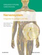 Organsysteme verstehen: Nervensystem... - Bild 1
