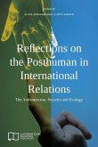 Reflections on the Posthuman in International Relations