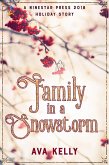 Family in a Snowstorm (Snow Globes, #2) (eBook, ePUB)