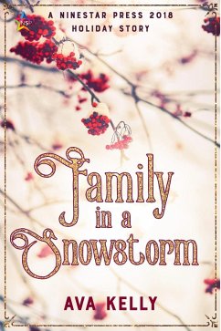 Cover Family in a Snowstorm (Snow Globes, #2) (eBook, ePUB)