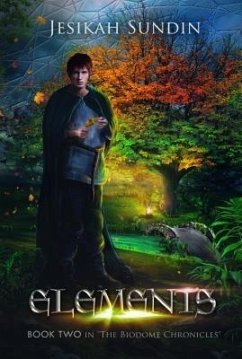 Cover Elements (eBook, ePUB)