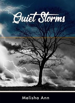 Cover Quiet Storms (eBook, ePUB)