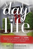 A Day in the Life (eBook, ePUB)