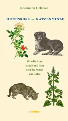 Hundsrose und Katzenminze - Gebauer, Rosemarie