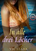 In alle drei Löcher ... (eBook, ePUB)