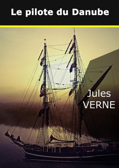 Le pilote du Danube (eBook, ePUB) - Verne, Jules