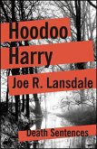 Hoodoo Harry (eBook, ePUB)