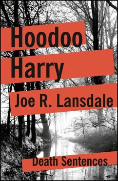 Hoodoo Harry (eBook, ePUB) - Lansdale, Joe R.