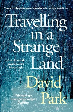 Travelling in a Strange Land - Park, David
