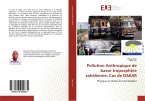 Pollution Anthropique de basse troposphère sahélienne: Cas de DAKAR