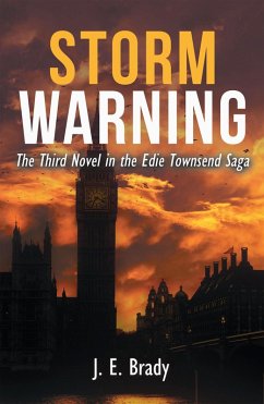 Storm Warning (eBook, ePUB) - Brady, J. E.