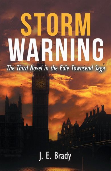 Storm Warning (eBook, ePUB) Storm Warning (eBook, ePUB)