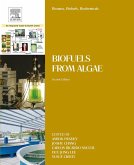 Biomass, Biofuels, Biochemicals (eBook, ePUB)