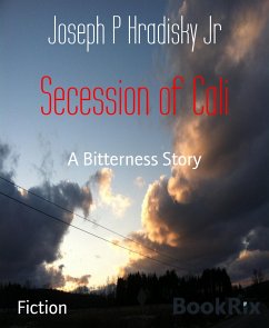 Secession of Cali (eBook, ePUB) - P Hradisky Jr, Joseph