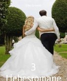 3 Liebesromane (eBook, ePUB)