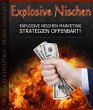 Explosive Nischen (eBook, ePUB) - Bild 1