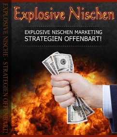 Explosive Nischen (eBook, ePUB) - Otto, Peter