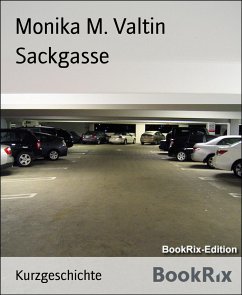 Sackgasse (eBook, ePUB) - Valtin, Monika M.