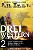 Pete Hackett - Drei Western, Sammelband 2 (eBook, ePUB)