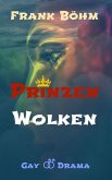 Prinzenwolken (eBook, ePUB)