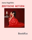 Erotische Notizen (eBook, ePUB)