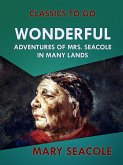 Wonderful Adventures of Mrs. Seacole in Many Lands (eBook, ePUB)
