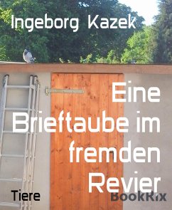 Eine Brieftaube im fremden Revier (eBook, ePUB) - Kazek, Ingeborg