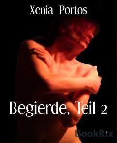 Begierde, Teil 2 (eBook, ePUB) - Portos, Xenia