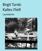 Kaltes Fließ (eBook, ePUB)
