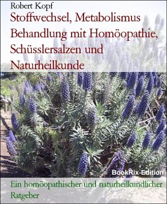 Stoffwechsel, Metabolismus Behandlung mit Homöopathie, Schüsslersalzen und Naturheilkunde (eBook, ePUB) - Kopf, Robert