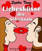 Liebesküsse des Schicksals (eBook, ePUB)