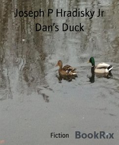 Dan’s Duck (eBook, ePUB) - P Hradisky Jr, Joseph