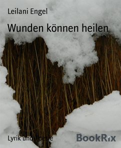 Wunden können heilen (eBook, ePUB) - Engel, Leilani