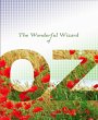 The Wonderful Wizard of Oz (eBook, ePUB) - Bild 1