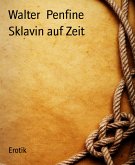 Sklavin auf Zeit (eBook, ePUB)