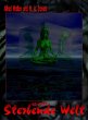 GG-B 007: Sterbende Welt (eBook, ePUB) - Bild 1