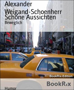 Schöne Aussichten (eBook, ePUB) - Weigand-Schoenherr, Alexander