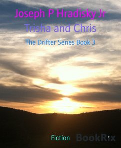 Trisha and Chris (eBook, ePUB) - P Hradisky Jr, Joseph