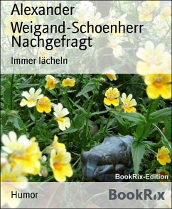 Nachgefragt (eBook, ePUB) - Weigand-Schoenherr, Alexander