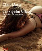 Sex - geiler Urlaub (eBook, ePUB)