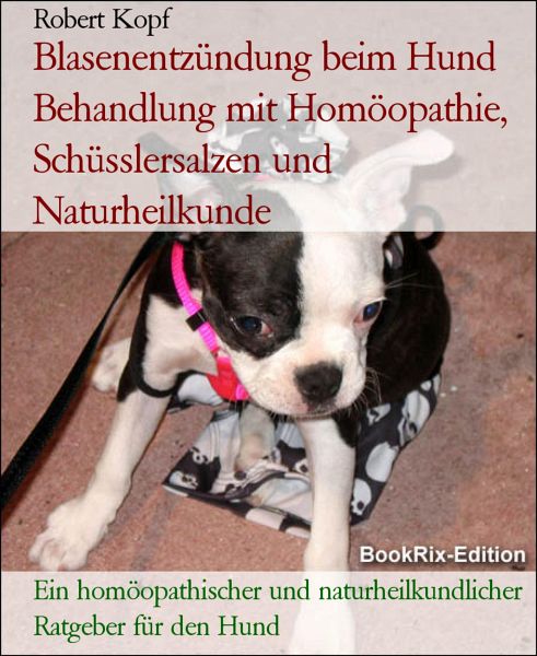 accelerator Af storm Sindsro Blasenentzündung beim Hund Behandlung mit Homöopathie, Schüsslersalzen und  … von Robert Kopf - Portofrei bei bücher.de