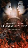 Transformation im Flammenmeer (eBook, ePUB)