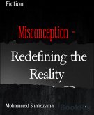 Misconception - (eBook, ePUB)